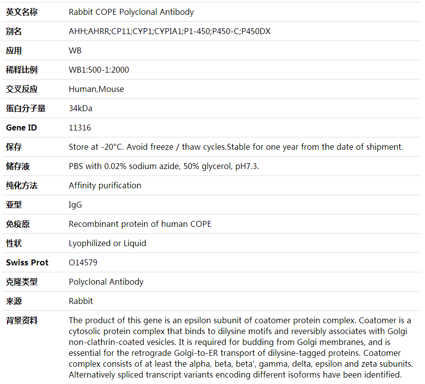 Anti-COPE Polyclonal Antibody,索莱宝,K001824P-30ul