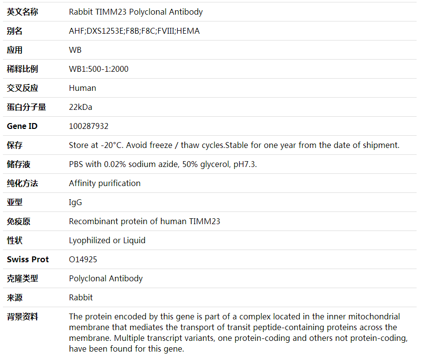 Anti-TIMM23 Polyclonal Antibod,索莱宝,K001823P-100ul