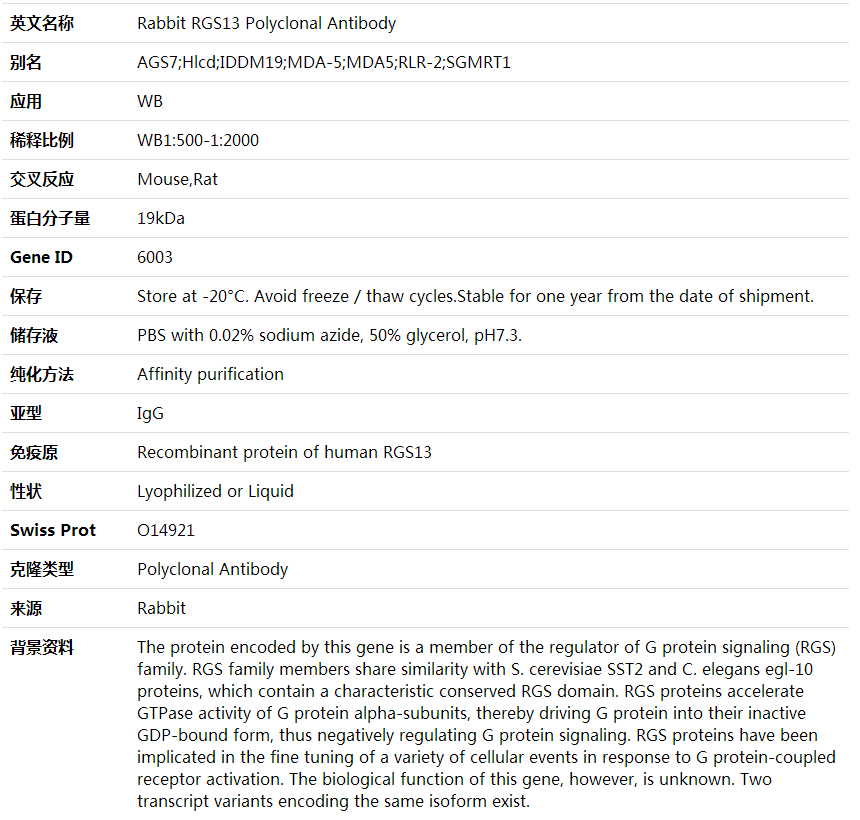Anti-RGS13 Polyclonal Antibody,索莱宝,K001817P-100ul