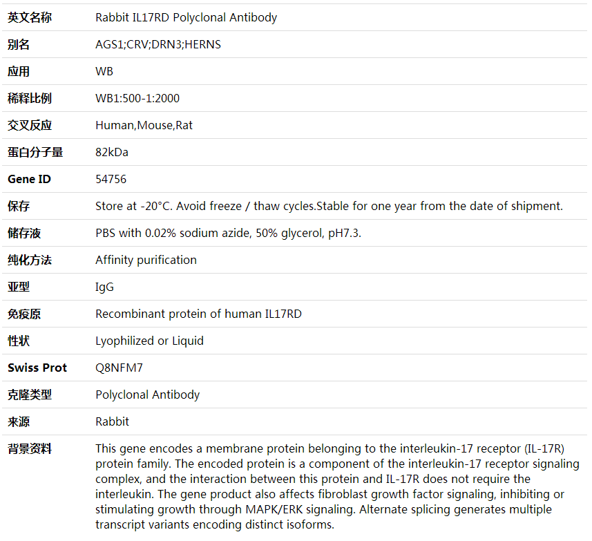 Anti-IL17RD Polyclonal Antibody,索莱宝,K001815P-100ul