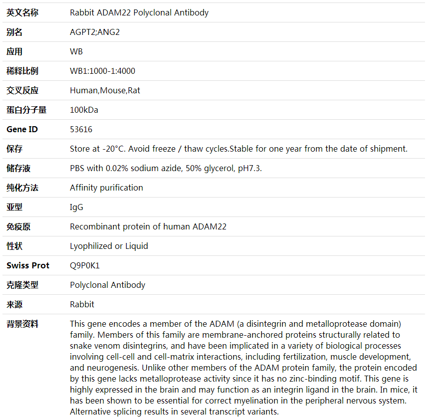 Anti-ADAM22 Polyclonal Antibody,索莱宝,K001814P-100ul