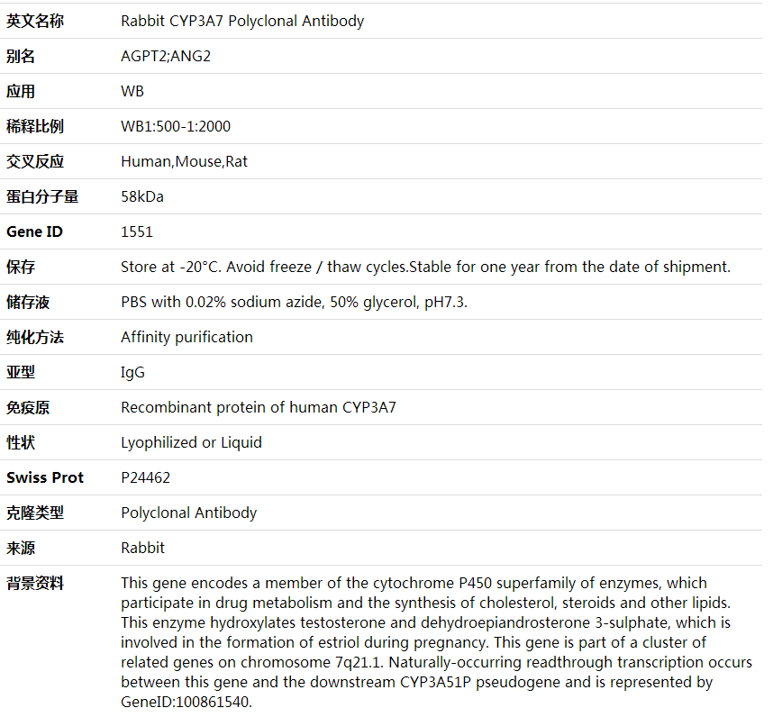 Anti-CYP3A7 Polyclonal Antibody,索莱宝,K001813P-50ul