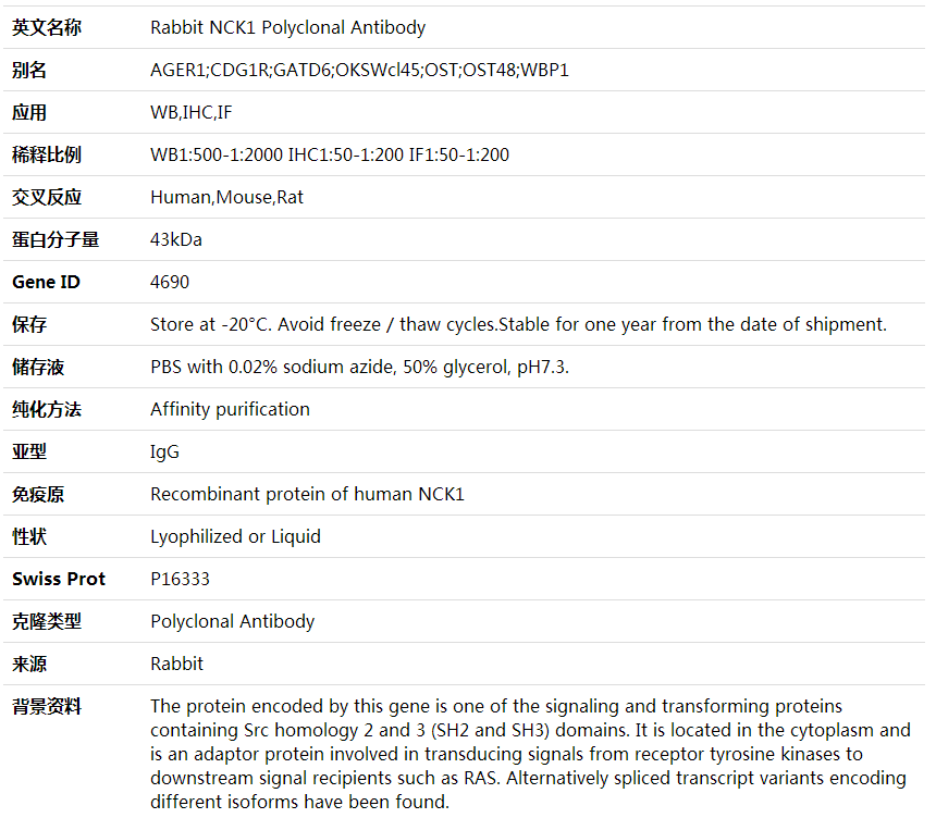 Anti-NCK1 Polyclonal Antibody,索莱宝,K001801P-50ul