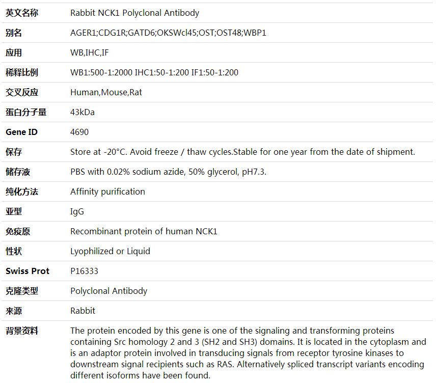 Anti-NCK1 Polyclonal Antibody,索莱宝,K001801P-100ul