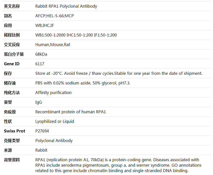 Anti-RPA1 Polyclonal Antibody,索莱宝,K001794P-50ul