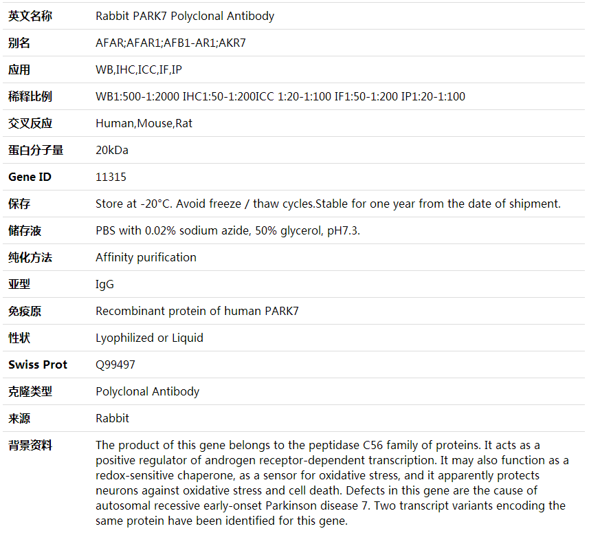Anti-PARK7 Polyclonal Antibody,索莱宝,K001791P-30ul