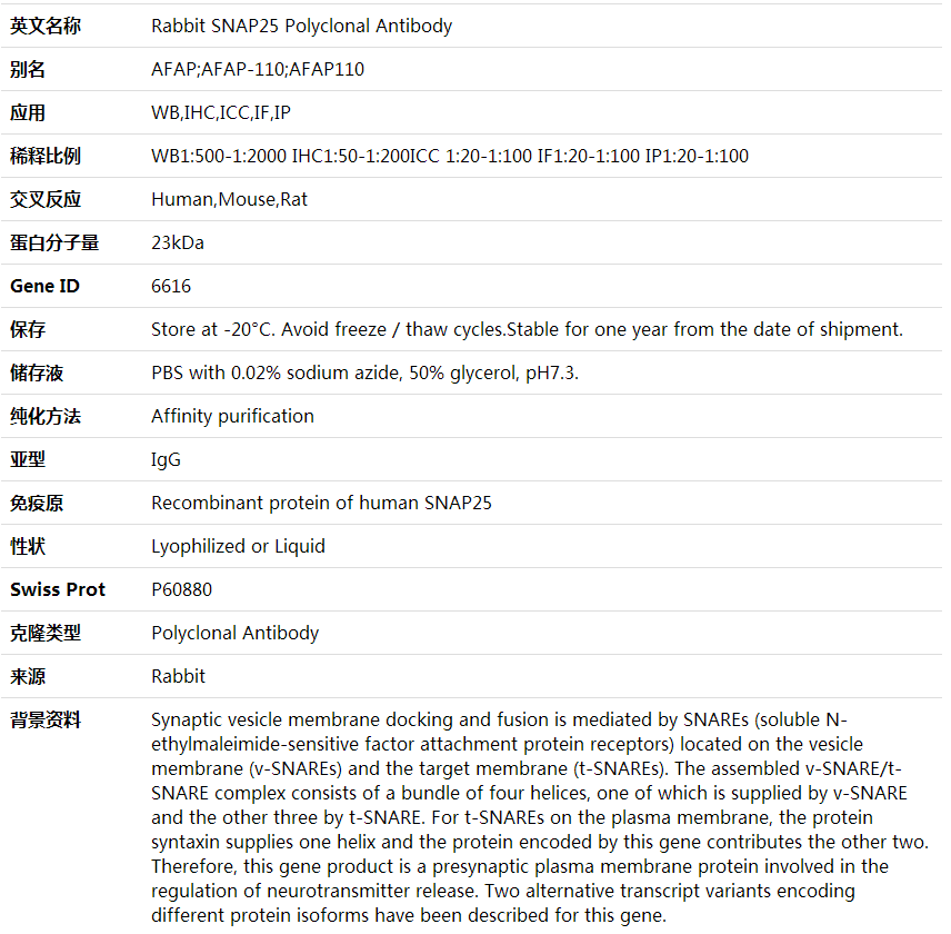 Anti-SNAP25 Polyclonal Antibody,索莱宝,K001790P-100ul