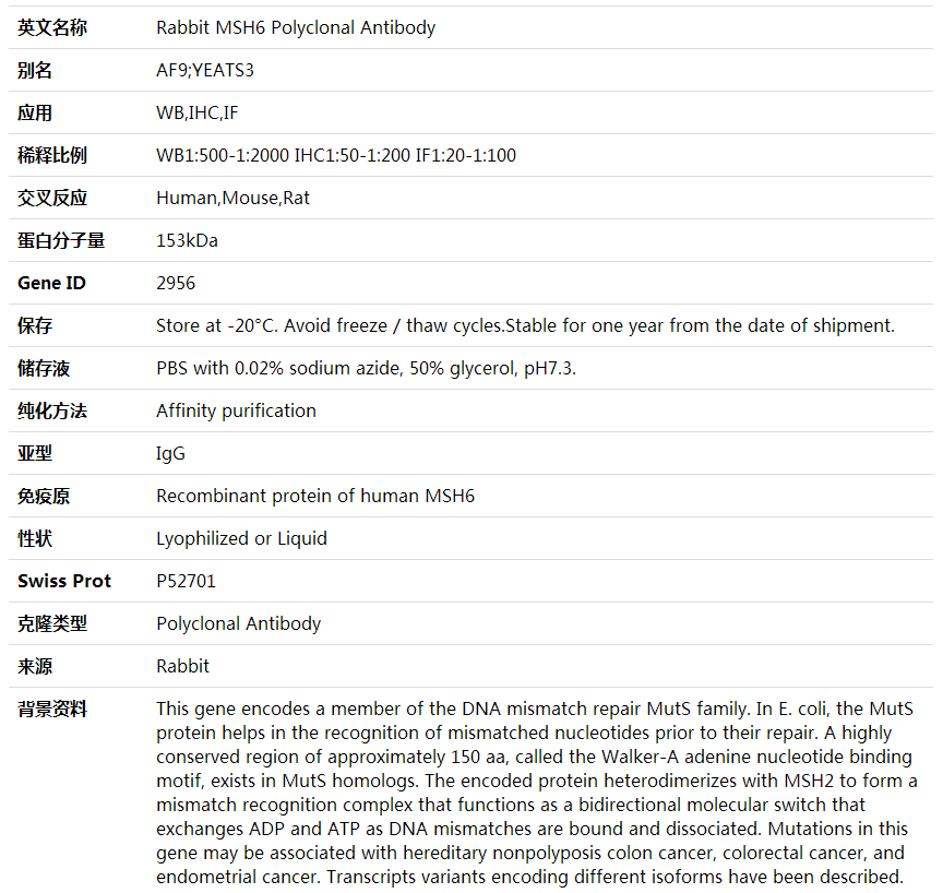 Anti-MSH6 Polyclonal Antibody,索莱宝,K001788P-50ul