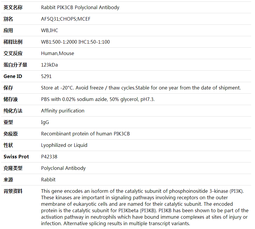 Anti-PIK3CB Polyclonal Antibody,索莱宝,K001787P-100ul