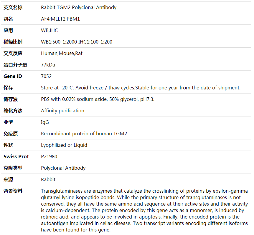 Anti-TGM2 Polyclonal Antibody,索莱宝,K001786P-30ul