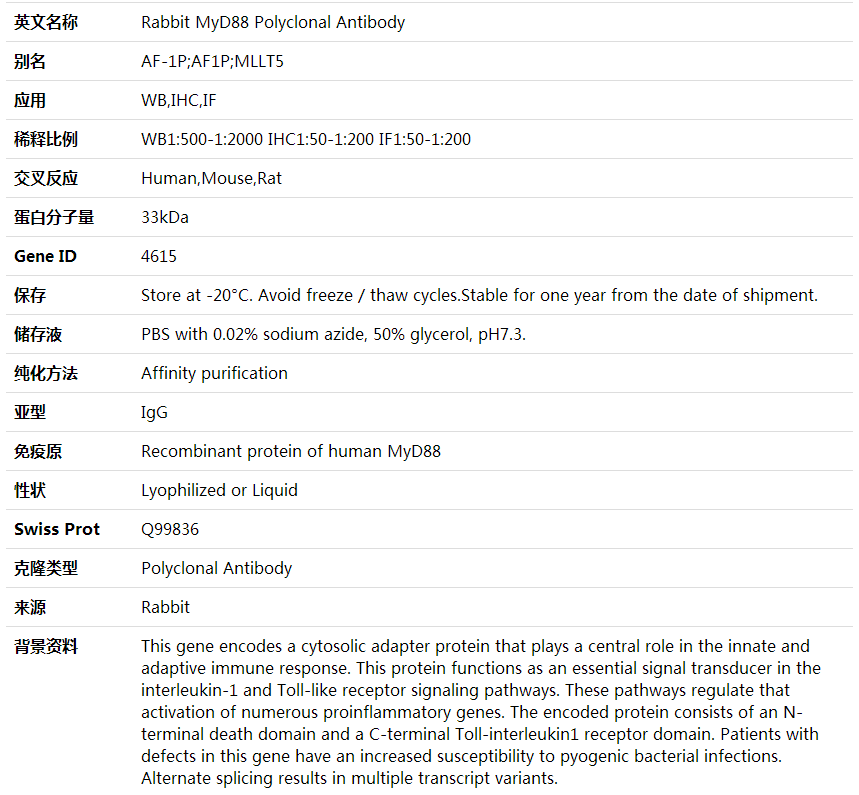 Anti-MyD88 Polyclonal Antibody,索莱宝,K001785P-100ul
