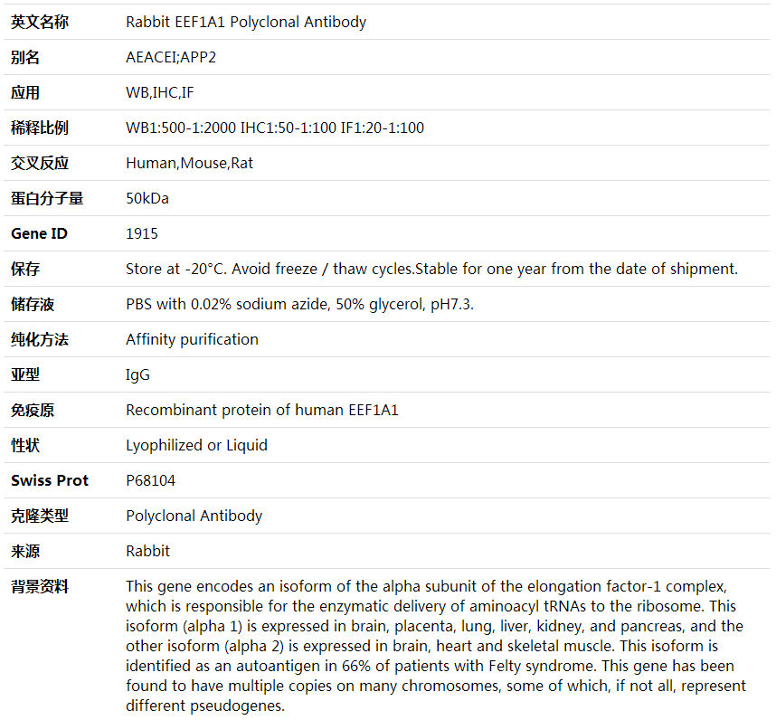 Anti-EEF1A1 Polyclonal Antibody,索莱宝,K001780P-100ul