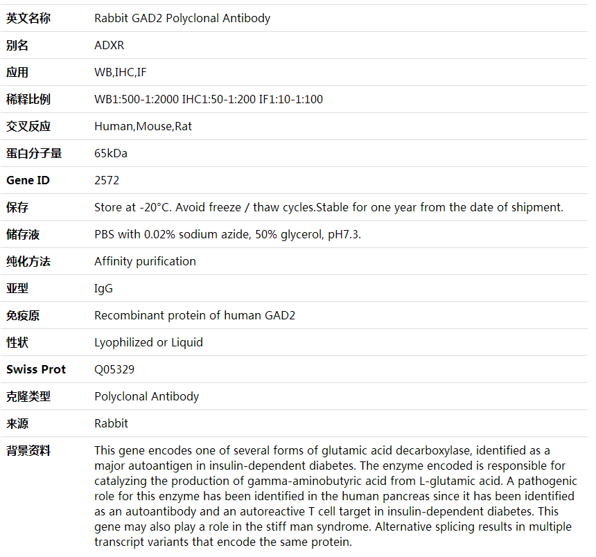 Anti-GAD2 Polyclonal Antibody,索莱宝,K001778P-30ul