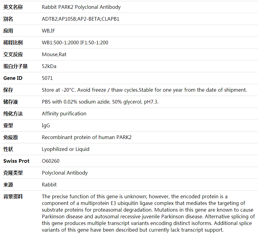 Anti-PARK2 Polyclonal Antibody,索莱宝,K001775P-100ul