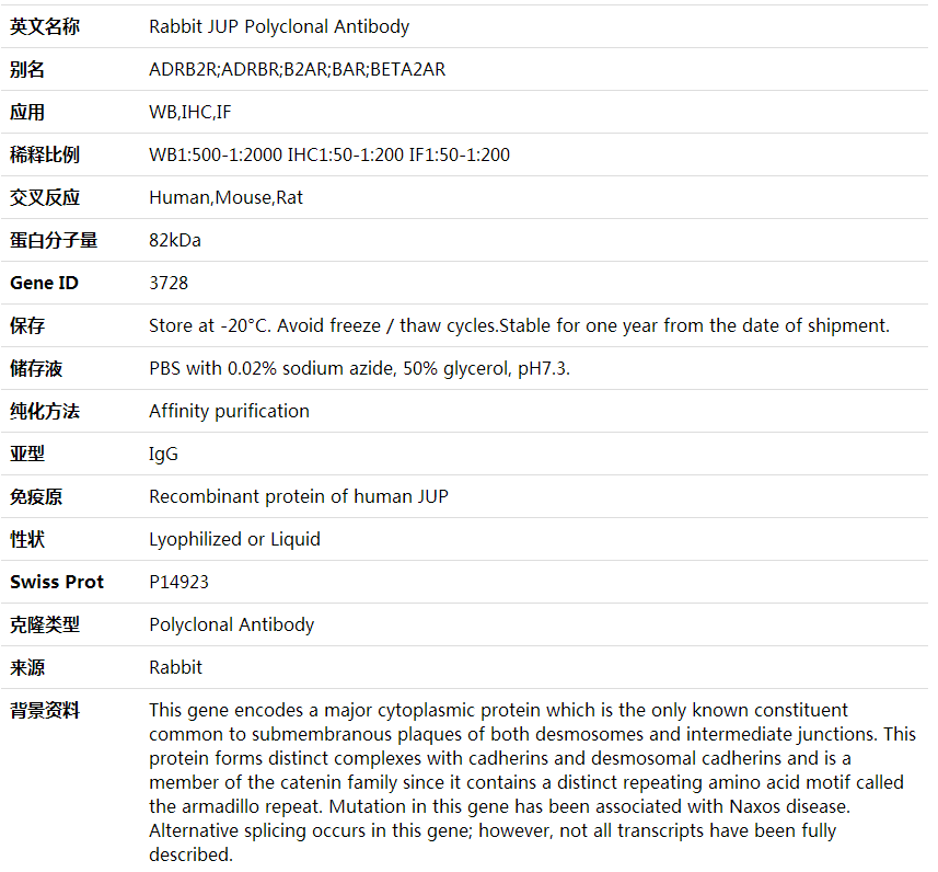 Anti-JUP Polyclonal Antibody,索莱宝,K001772P-30ul