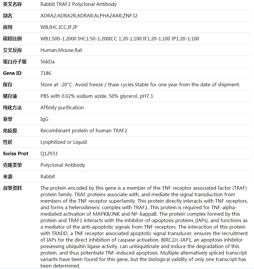 Anti-TRAF2 Polyclonal Antibody,索莱宝,K001771P-100ul