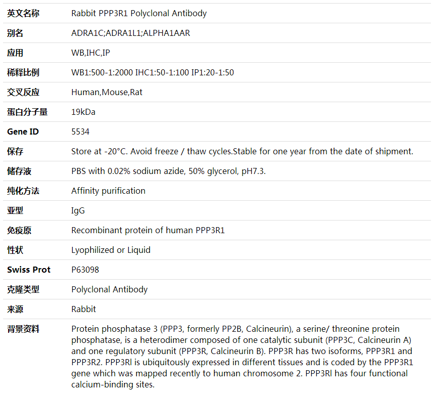 Anti-PPP3R1 Polyclonal Antibody,索莱宝,K001770P-50ul