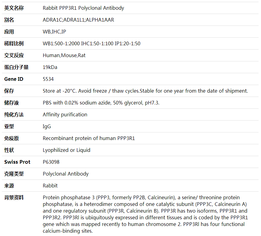 Anti-PPP3R1 Polyclonal Antibody,索莱宝,K001770P-100ul