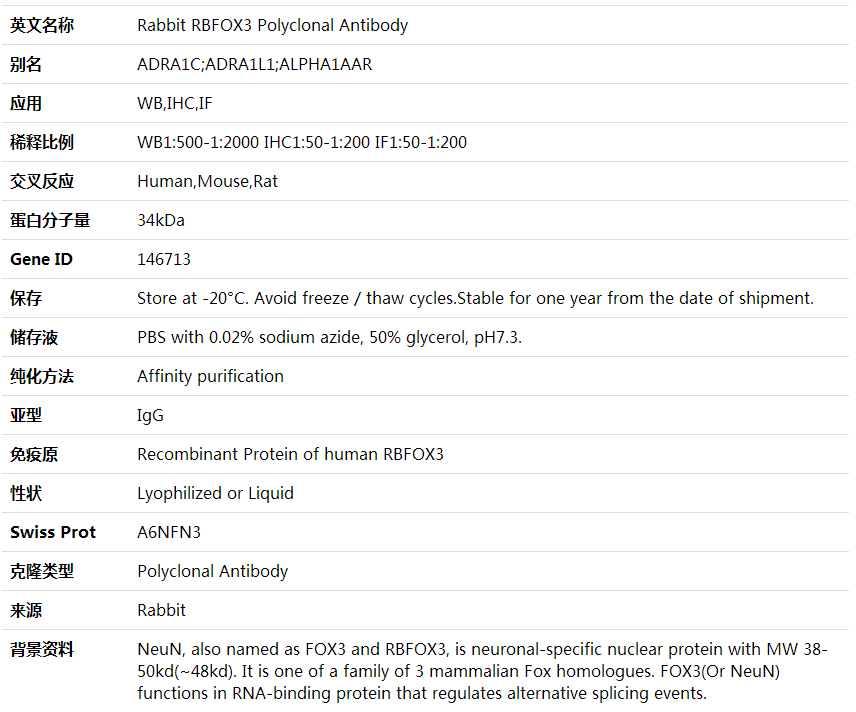 Anti-RBFOX3 Polyclonal Antibody,索莱宝,K001769P-100ul