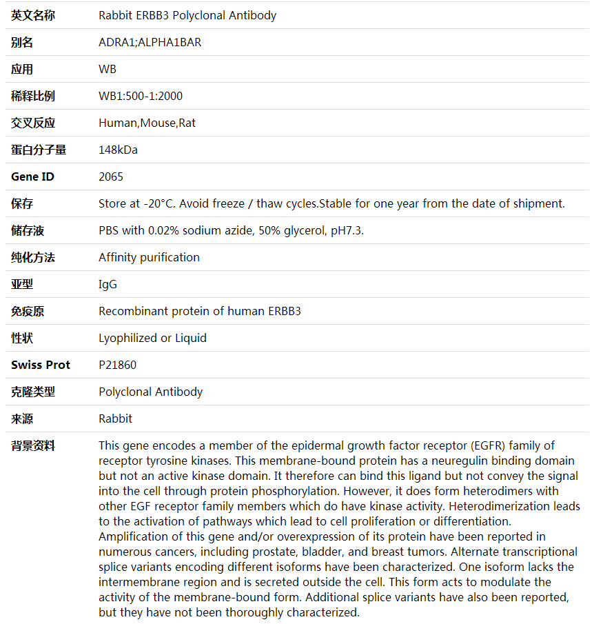 ERBB3 Antibodyi-ERBB3 Polyclonal Antibody,索莱宝,K001768P-100ul