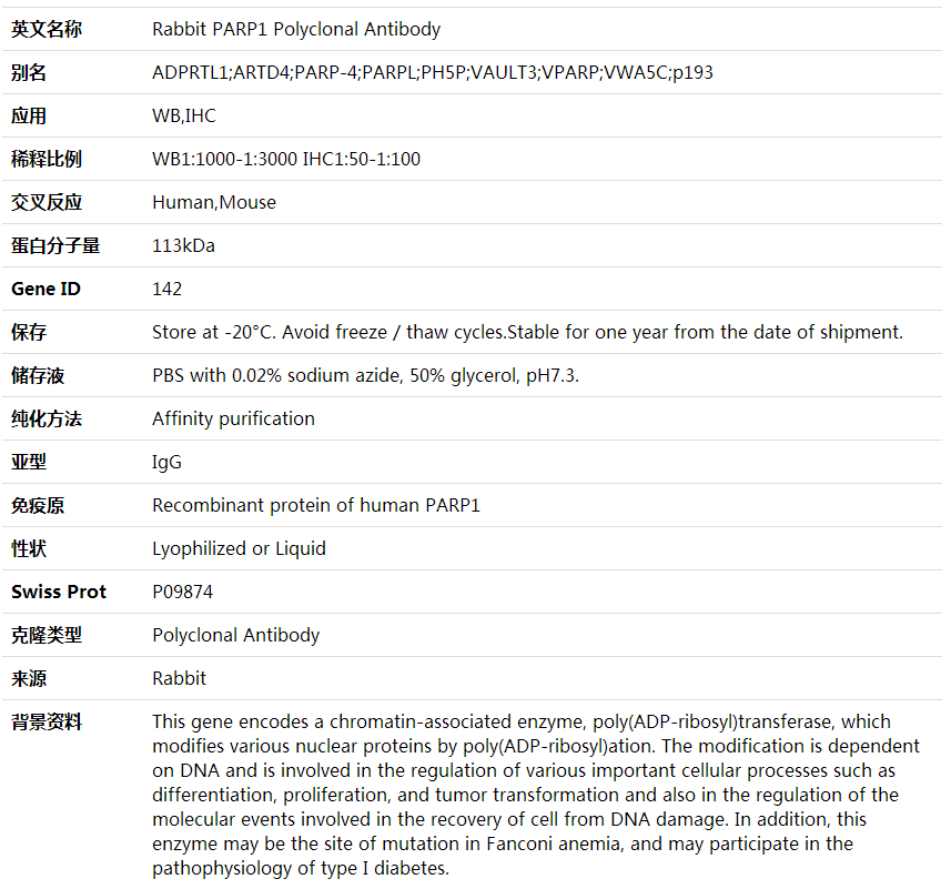 Anti-PARP1 Polyclonal Antibody,索莱宝,K001766P-100ul