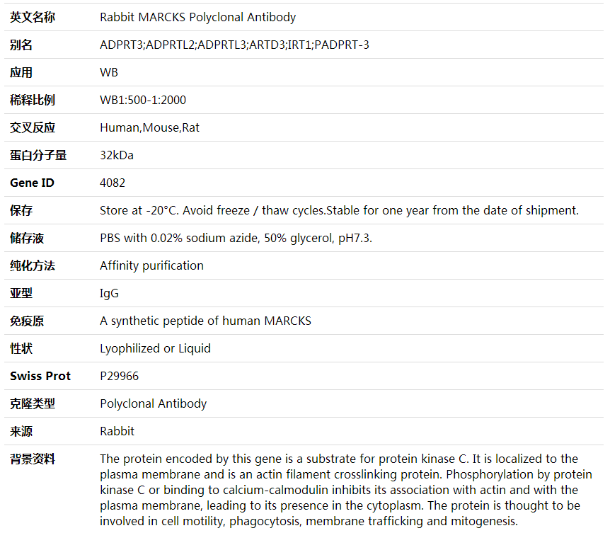 Anti-MARCKS Polyclonal Antibody,索莱宝,K001765P-100ul