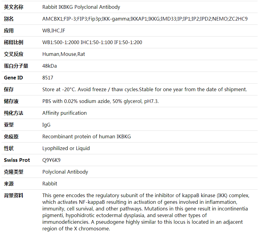 Anti-IKBKG Polyclonal Antibody,索莱宝,K001761P-30ul