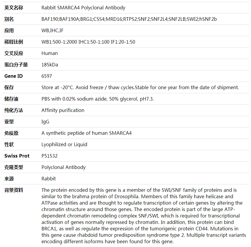 Anti-SMARCA4 Polyclonal Antibody,索莱宝,K001757P-50ul