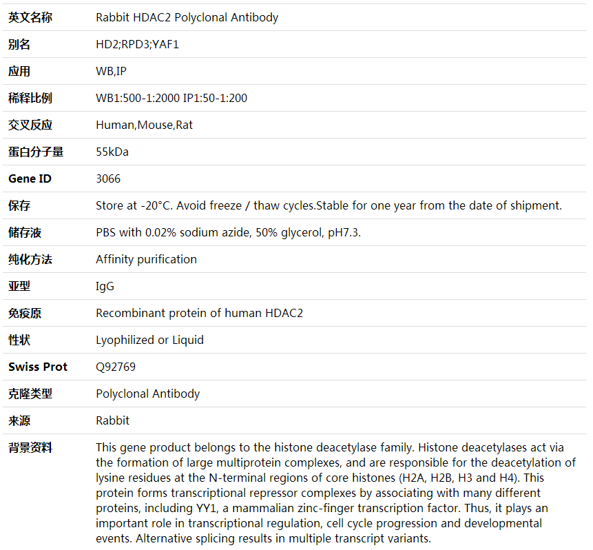 Anti-HDAC2 Polyclonal Antibody,索莱宝,K001755P-100ul