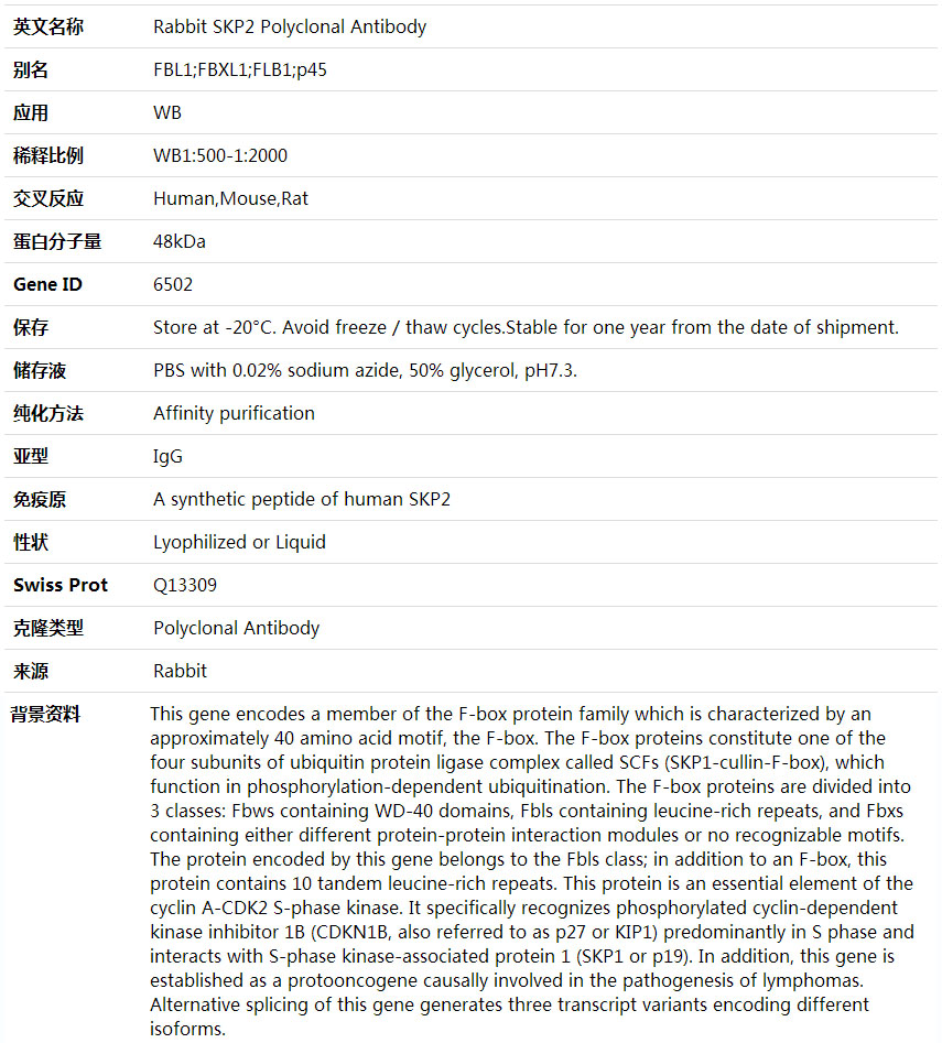 Anti-SKP2 Polyclonal Antibod,索莱宝,K001754P-50ul