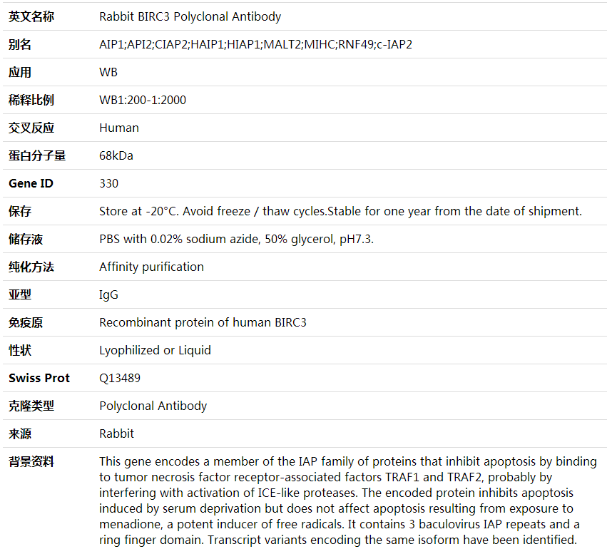 Anti-BIRC3 Polyclonal Antibody,索莱宝,K001753P-100ul