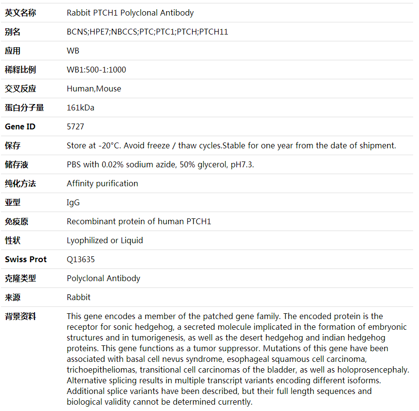 Anti-PTCH1 Polyclonal Antibody,索莱宝,K001752P-100ul