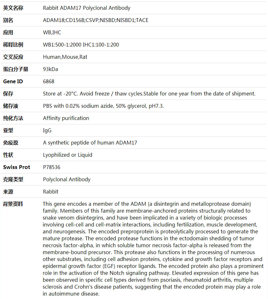 Anti-ADAM17 Polyclonal Antibody,索莱宝,K001751P-100ul