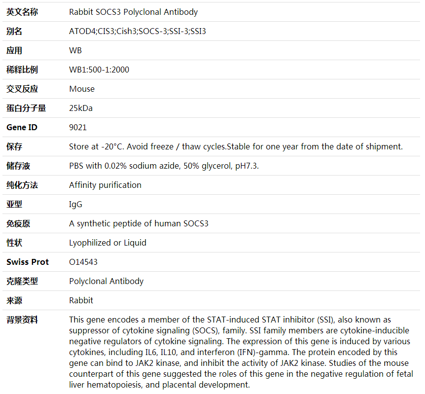Anti-SOCS3 Polyclonal Antibody,索莱宝,K001749P-100ul