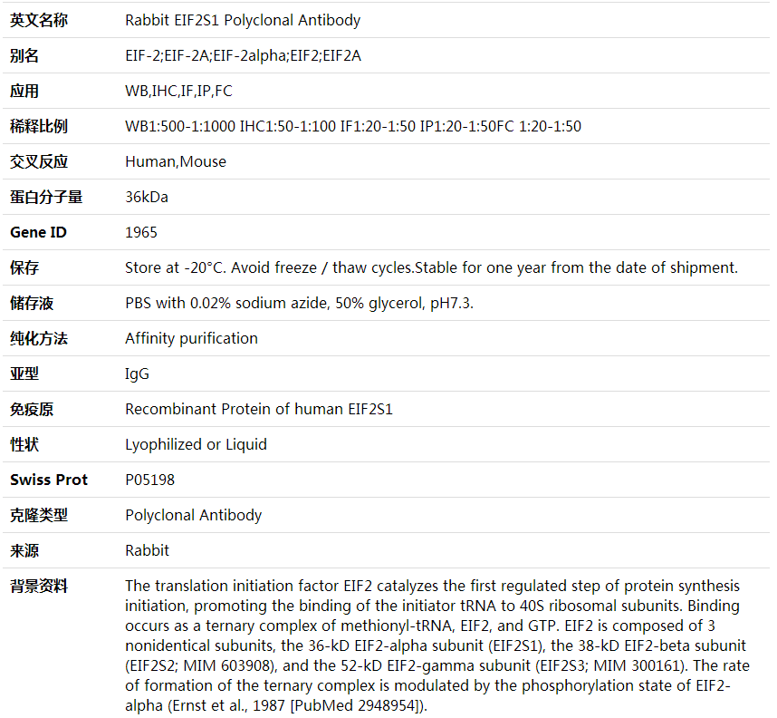 Anti-EIF2S1 Polyclonal Antibody,索莱宝,K001748P-30ul