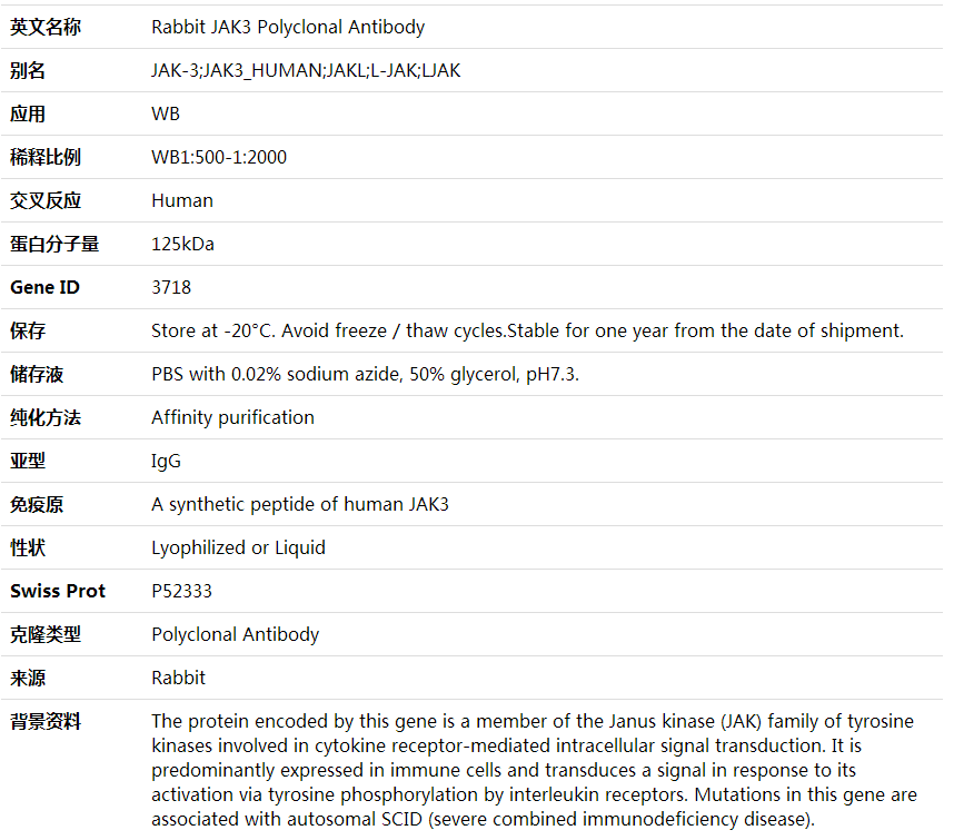 Anti-JAK3 Polyclonal Antibody,索莱宝,K001746P-100ul