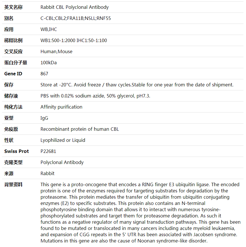 Anti-CBL Polyclonal Antibody,索莱宝,K001741P-100ul