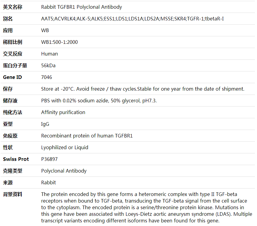 Anti-TGFBR1 Polyclonal Antibody,索莱宝,K001737P-100ul