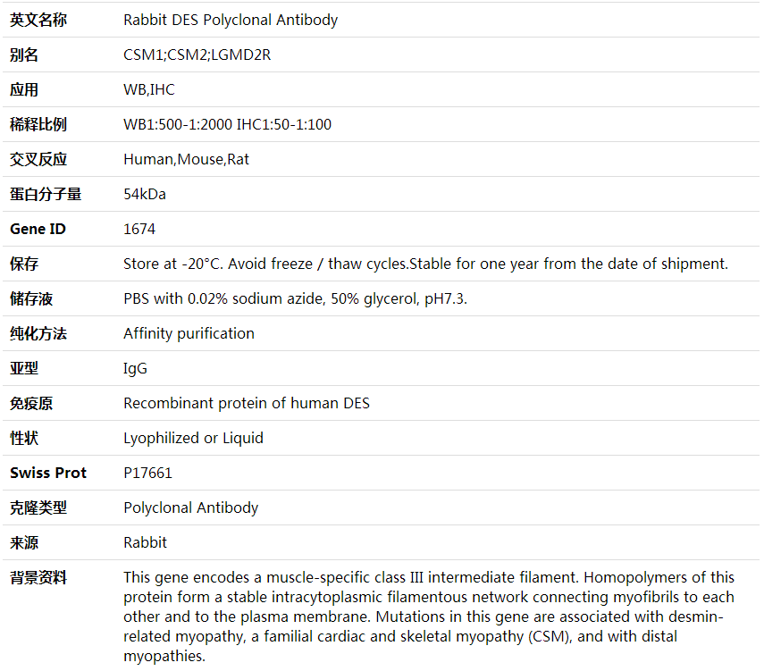 Anti-DES Polyclonal Antibody,索莱宝,K001734P-50ul