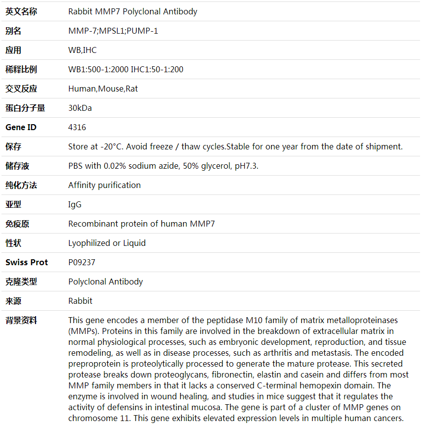 Anti-MMP7 Polyclonal Antibody,索莱宝,K001731P-100ul