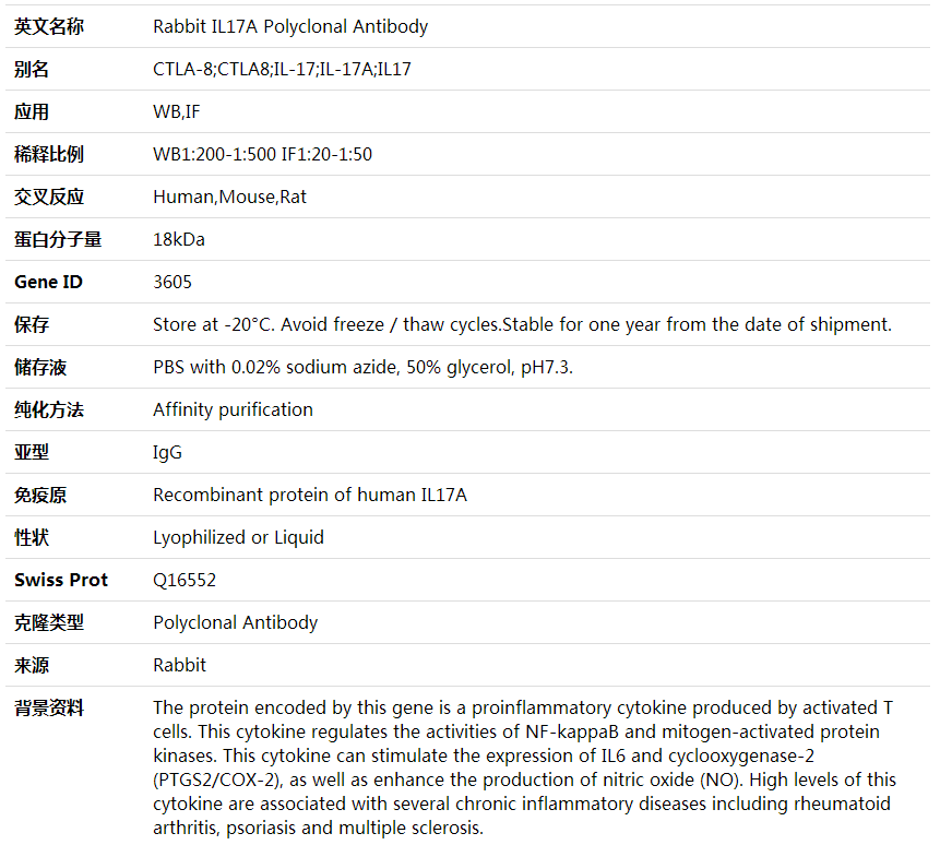 Anti-IL17A Polyclonal Antibody,索莱宝,K001726P-100ul