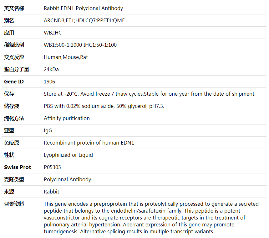 Anti-EDN1 Polyclonal Antibody,索莱宝,K001725P-30ul