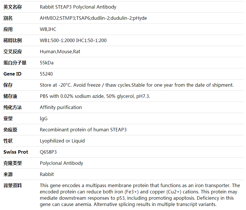 Anti-STEAP3 Polyclonal Antibody,索莱宝,K001723P-100ul