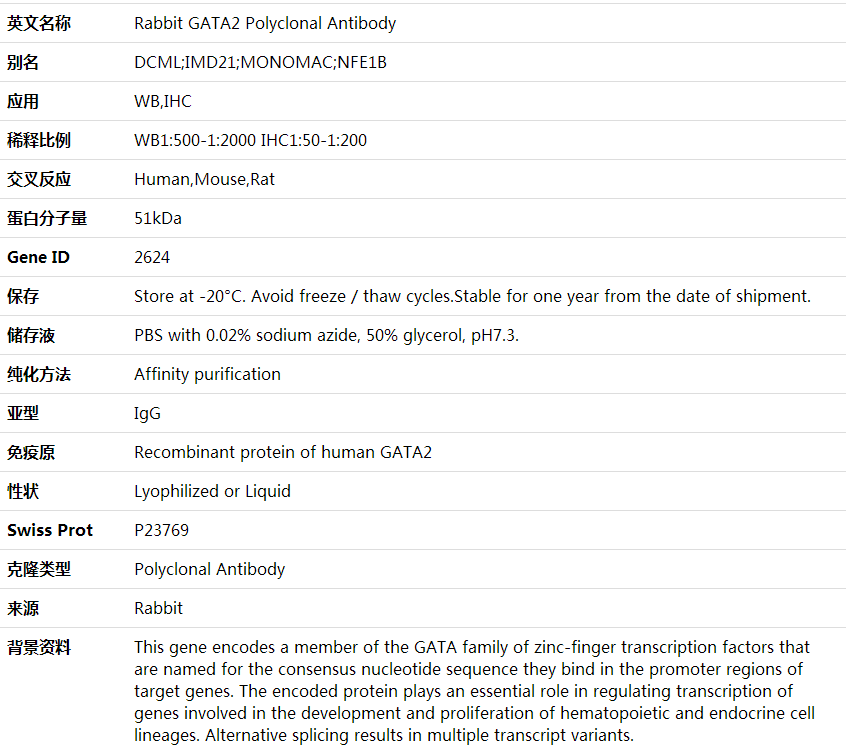 Anti-GATA2 Polyclonal Antibody,索莱宝,K001721P-100ul