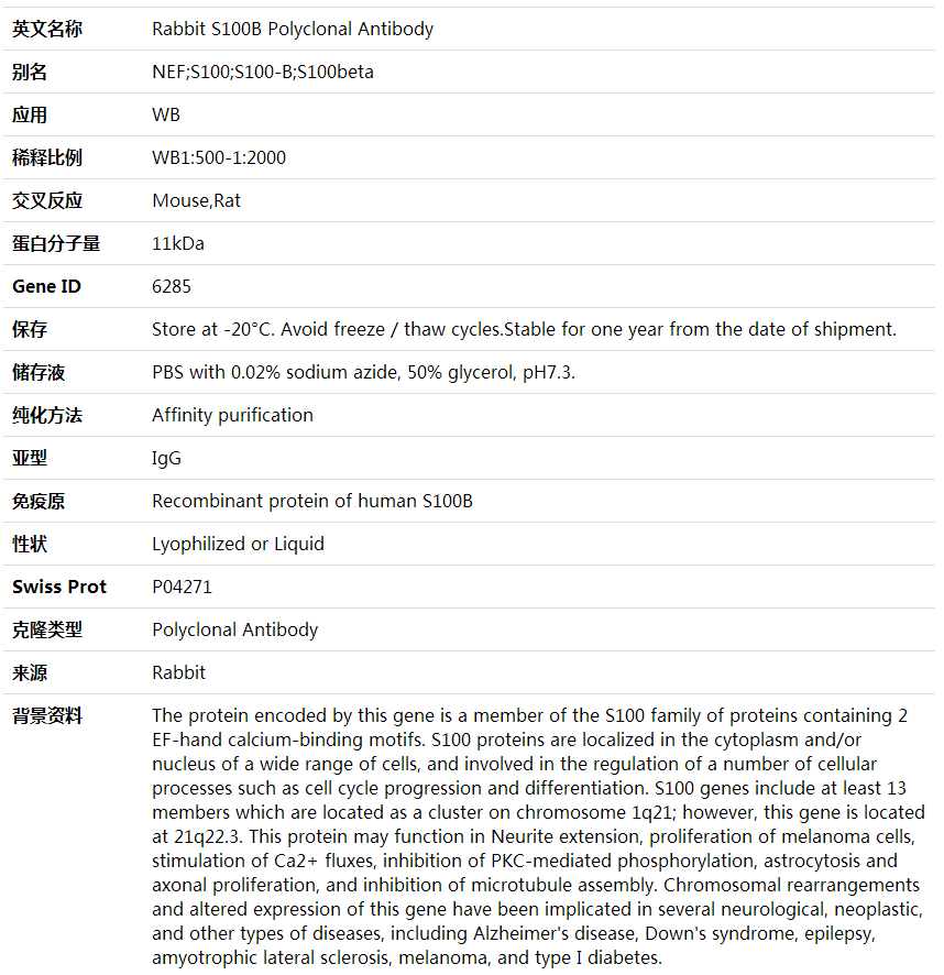 Anti-S100B Polyclonal Antibody,索莱宝,K001720P-100ul