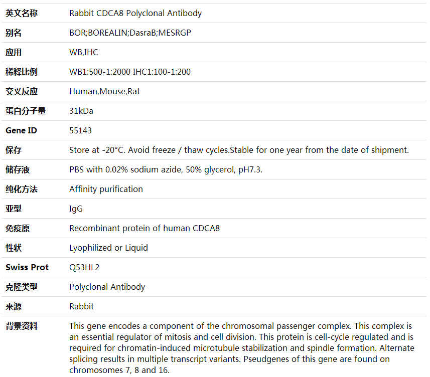 CDCA8 AntibodyCDCA8 Polyclonal Antibody,索莱宝,K001719P-50ul
