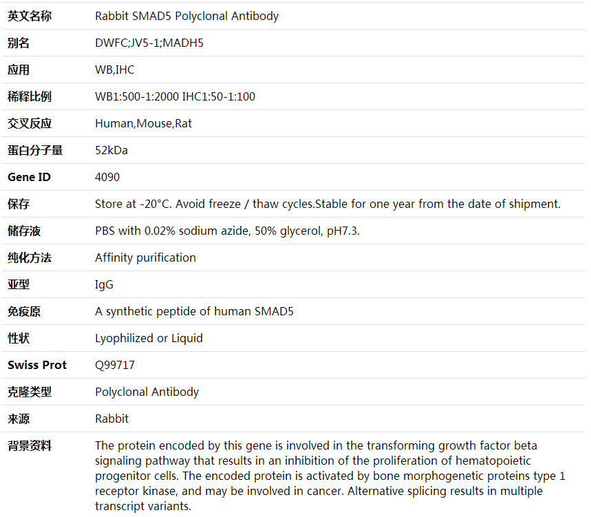 Anti-SMAD5 Polyclonal Antibody,索莱宝,K001716P-50ul