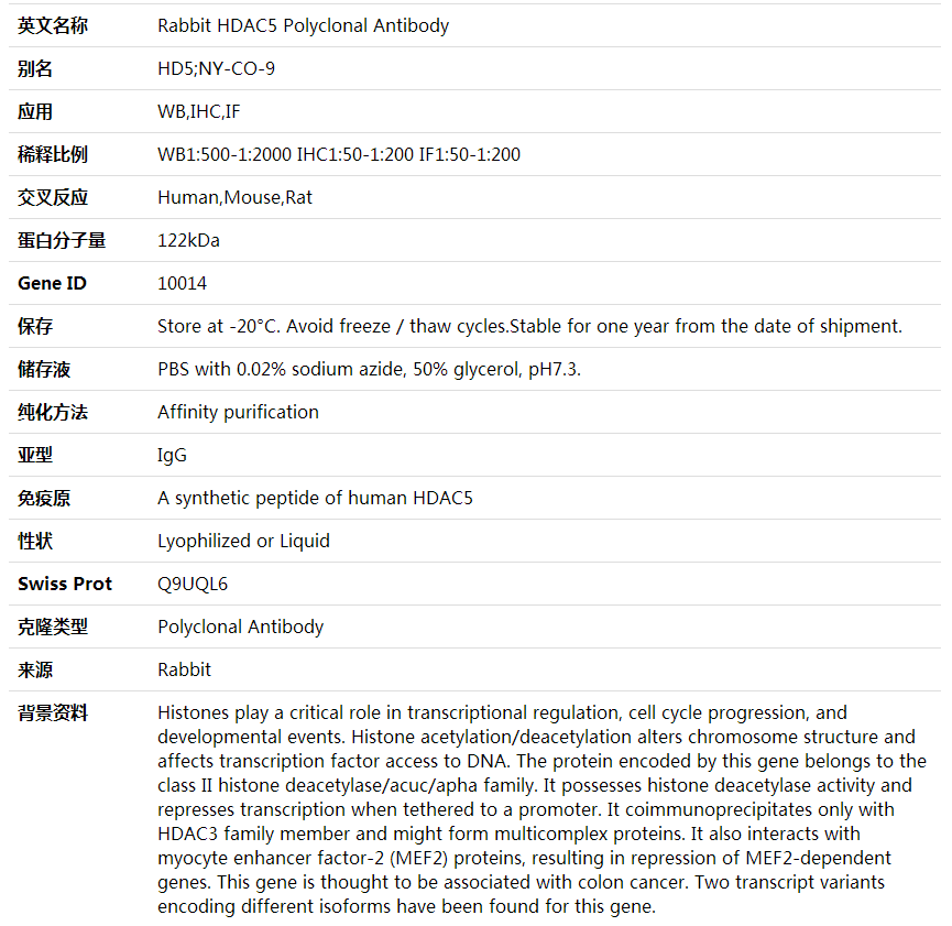 Anti-HDAC5 Polyclonal Antibody,索莱宝,K001715P-100ul