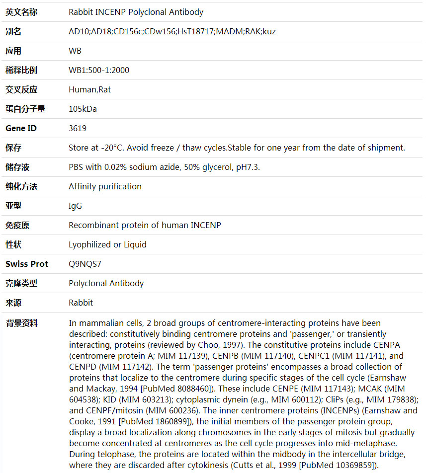 Anti-INCENP Polyclonal Antibody,索莱宝,K001713P-100ul
