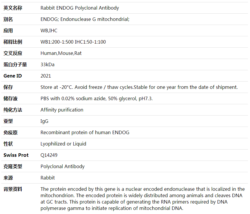 Anti-ENDOG Polyclonal Antibody,索莱宝,K001711P-50ul